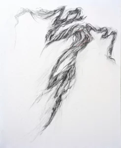 Visuel pour Mare Fecit