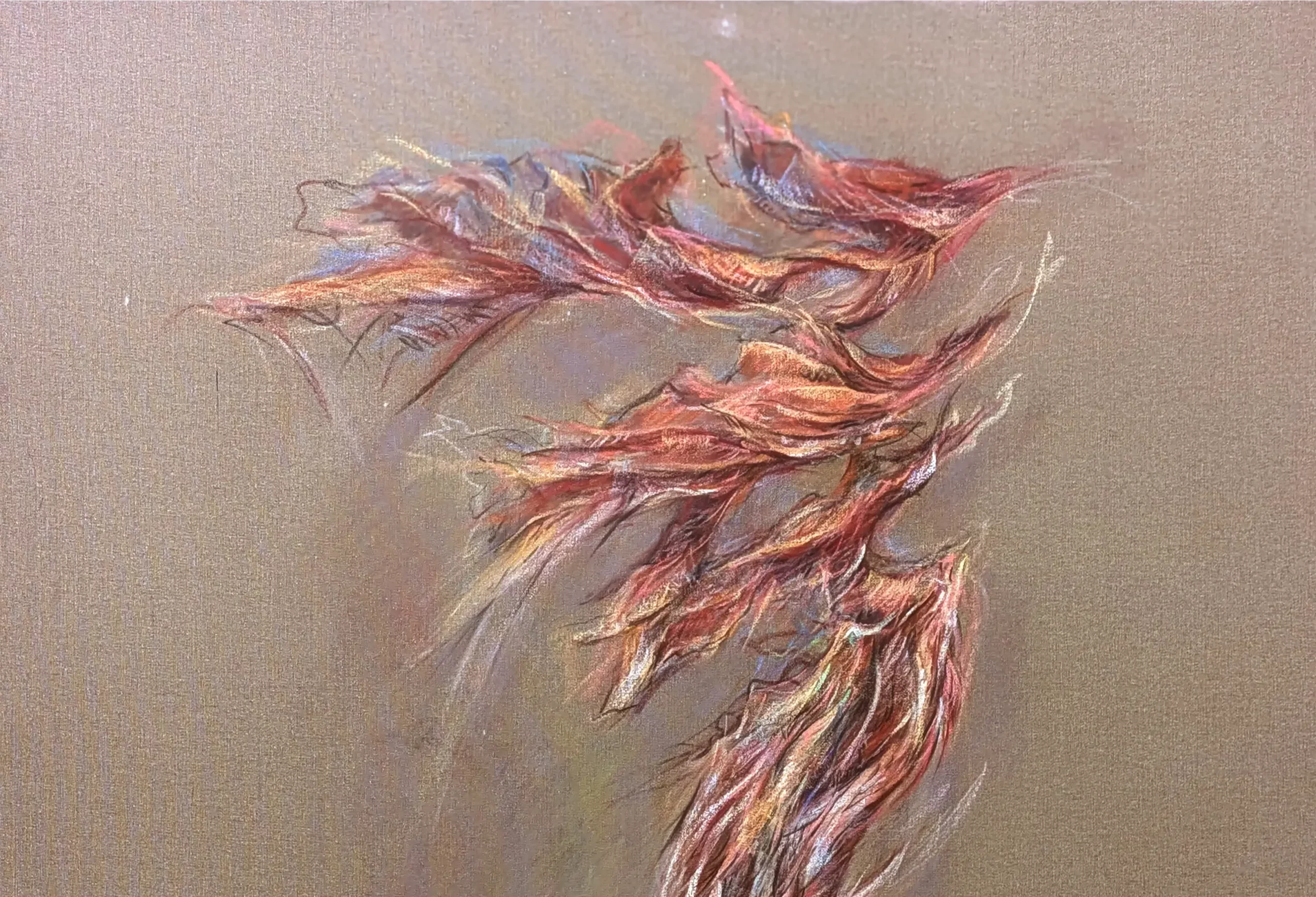 Visuel pour Expo flash - Mare Fecit