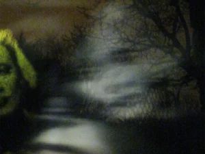 Visuel pour Quand le roman se dédouble et devient poème