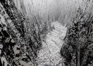 Visuel pour Vernissage - Le bruissement de la terre