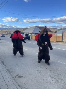 Visuel pour Jouer l’ours