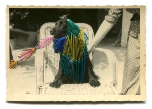 Visuel pour Au fil des souvenirs